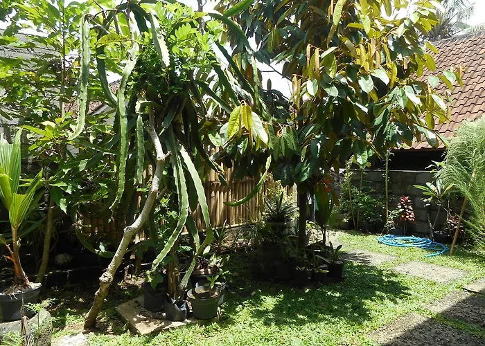 Ming * Sidemen (Bali)